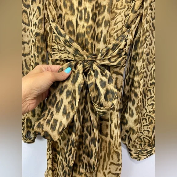 NWT-Express Cheetah V neck Cinch waist tie back Dress SM - Picture 6 of 12